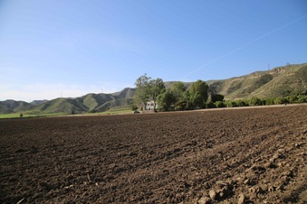 Enlarge photo 150