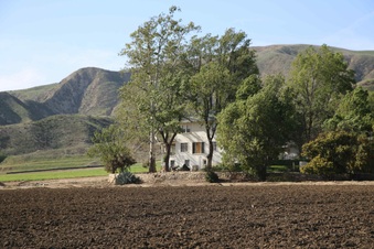 Enlarge photo 151