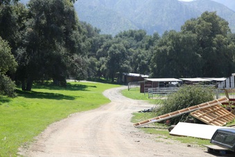 Enlarge photo 30