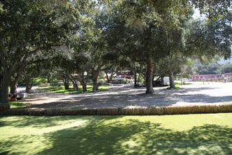 Enlarge photo 65