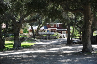 Enlarge photo 66