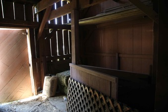 Enlarge photo 72