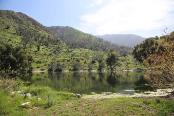 Enlarge photo 78