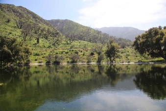 Enlarge photo 79
