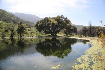 Enlarge photo 80