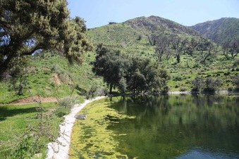Enlarge photo 81