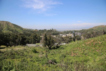 Enlarge photo 82