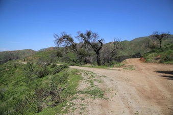 Enlarge photo 83
