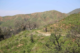 Enlarge photo 84