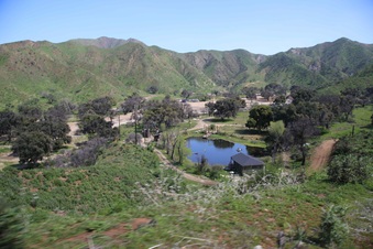 Enlarge photo 85