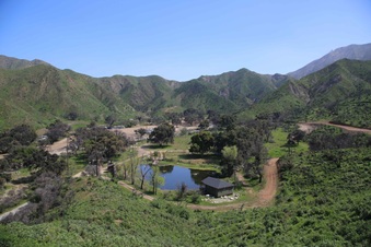 Enlarge photo 87