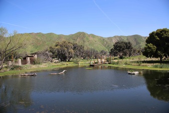 Enlarge photo 97