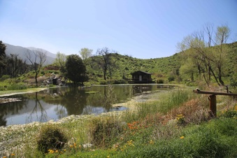 Enlarge photo 99