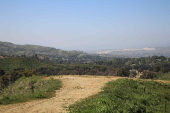 Enlarge photo 102