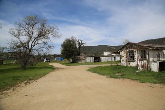 Enlarge photo 221