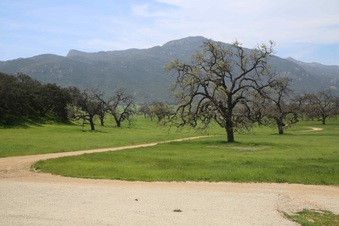 Enlarge photo 73