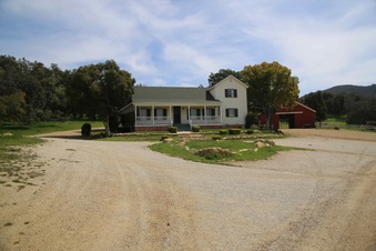 Enlarge photo 75