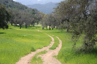 Enlarge photo 84