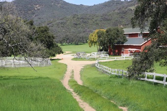 Enlarge photo 87