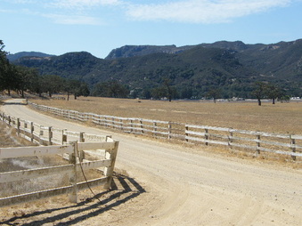 Enlarge photo 39