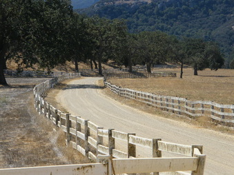 Enlarge photo 40
