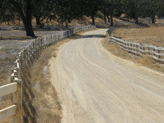 Enlarge photo 41