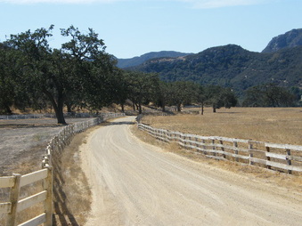 Enlarge photo 42