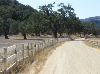 Enlarge photo 43