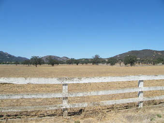 Enlarge photo 45