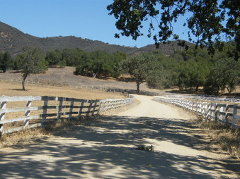 Enlarge photo 47