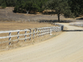 Enlarge photo 50