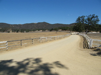 Enlarge photo 51
