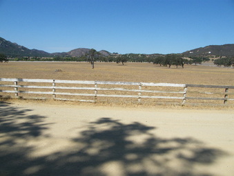 Enlarge photo 52