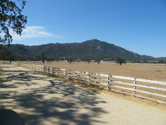 Enlarge photo 53