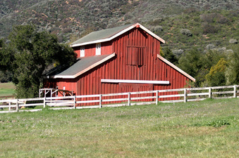 Enlarge photo 16