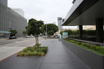 Enlarge photo 62