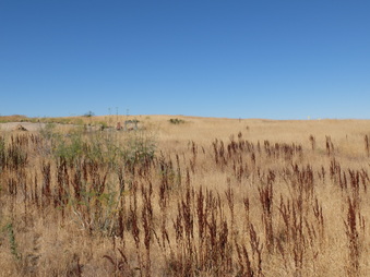Ahmanson Ranch, West Hills off the 101