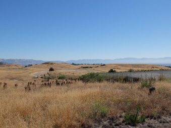 Enlarge photo 10