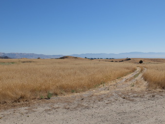 Enlarge photo 16