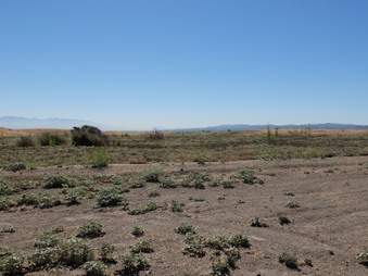 Enlarge photo 27