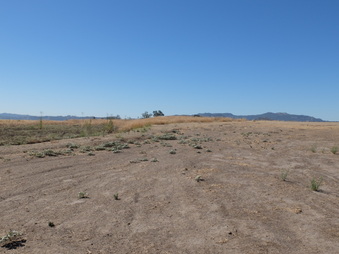 Enlarge photo 28