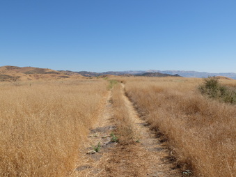 Enlarge photo 30