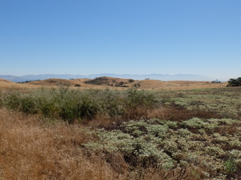 Enlarge photo 31