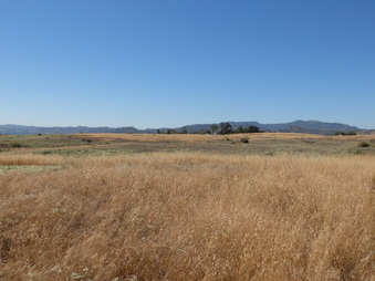 Enlarge photo 32