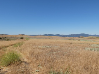 Enlarge photo 33