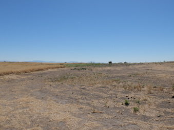 Enlarge photo 35