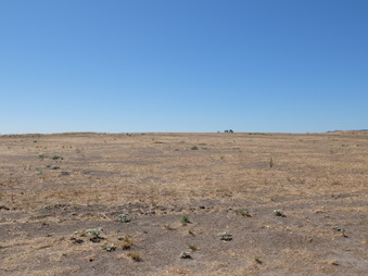 Enlarge photo 36