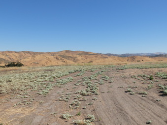 Enlarge photo 38