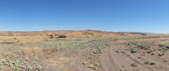 Enlarge photo 42