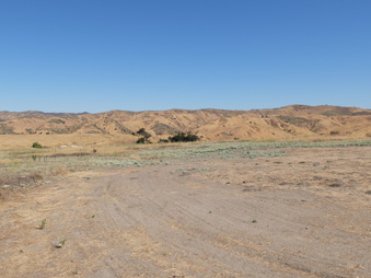 Enlarge photo 44